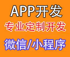 桂林本地网络公司定制开发it外包网站微信商城手机app